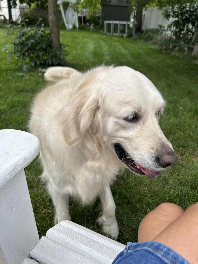 Bruno