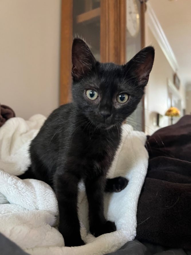 Binx