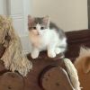 Daisy Mae photo 1