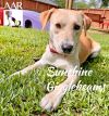 Sunshine Gigglebeams photo 6