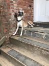 MOLLY photo 2