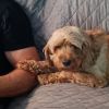 Matilda photo 4