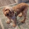 Matilda photo 5