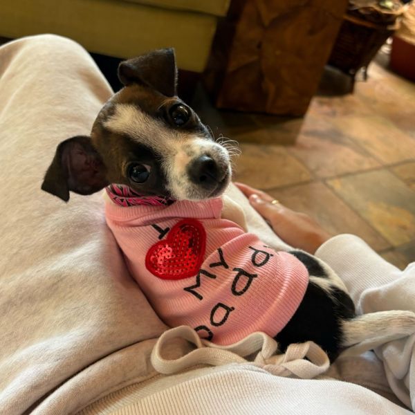 Lua