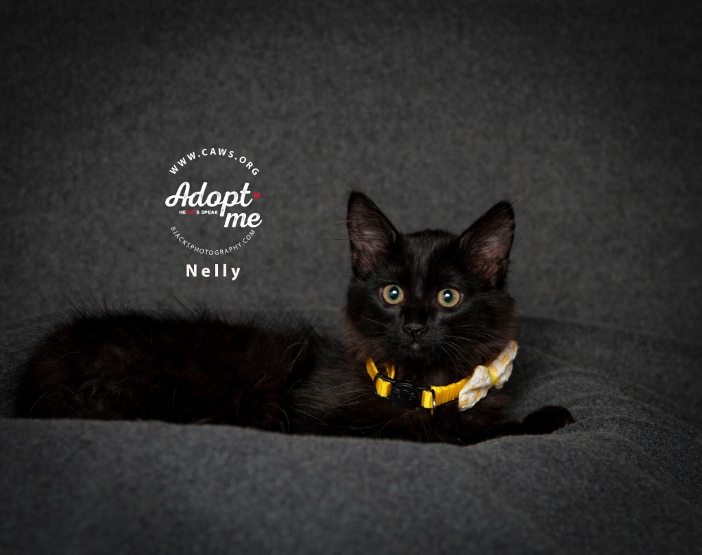 Nelly