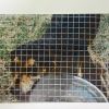 TRACKER 5103 photo 2