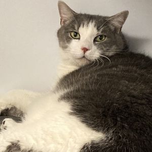 Beans, Senior Male unknown