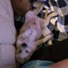 Beansie photo 5
