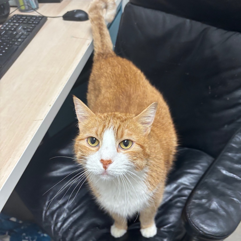 Milton