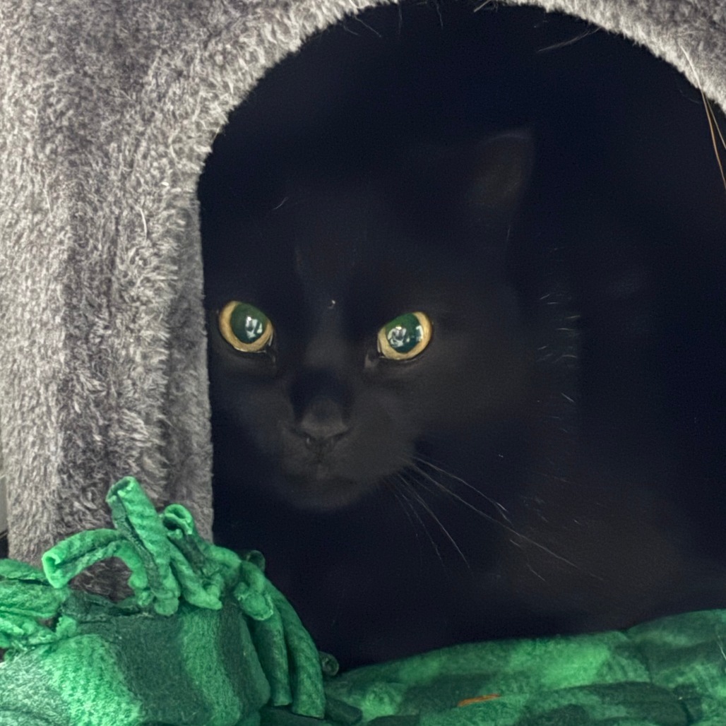 Luna