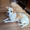Lola photo 2