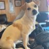 Lola photo 3
