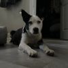 McKenzie photo 2