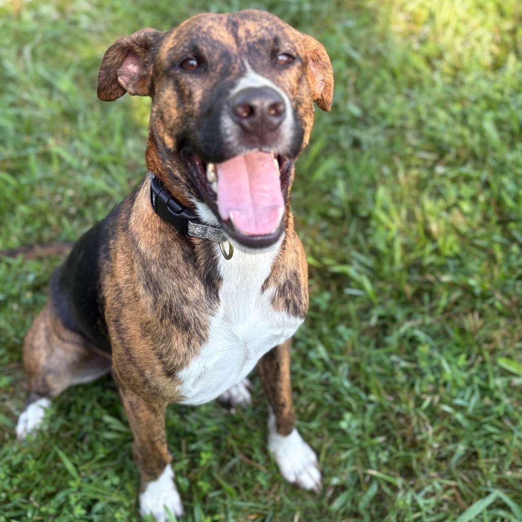 Sir Duke