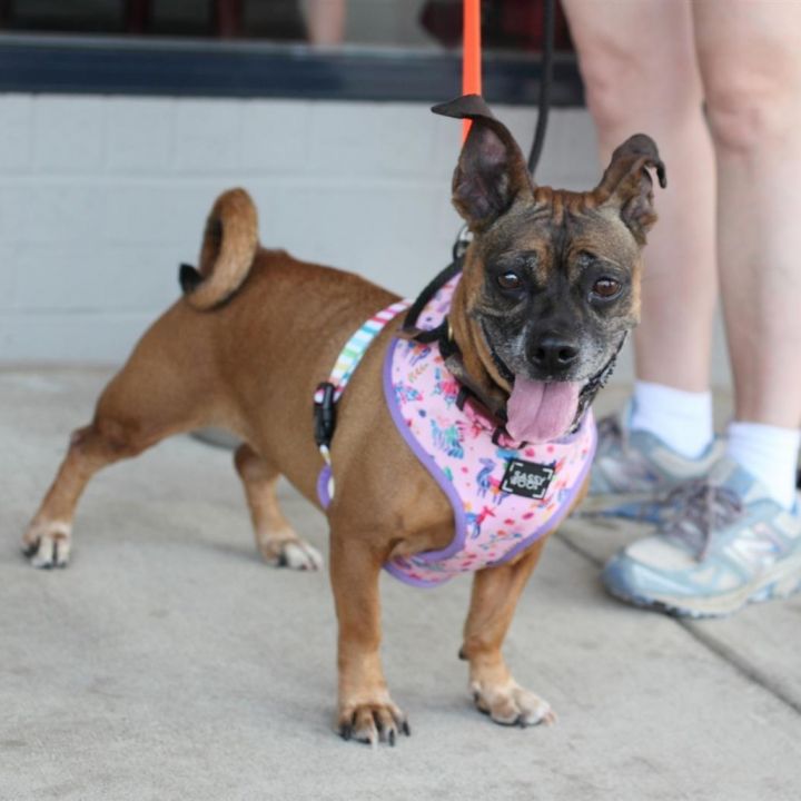 Roxy 1