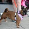 Roxy photo 2