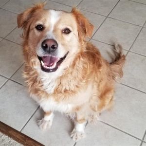 Zoey A
