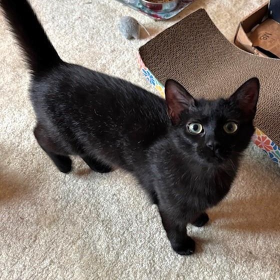Squiggy (bonded with Lenny) 1
