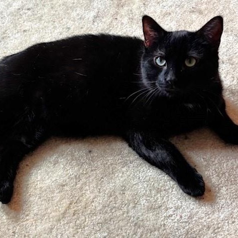Lenny (bonded with Squiggy)