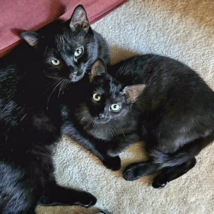 Lenny (bonded with Squiggy) 2