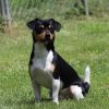 Sammy AB photo 3