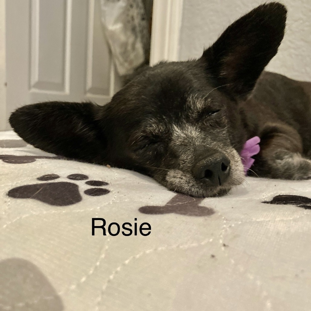 Rosie the Riveter