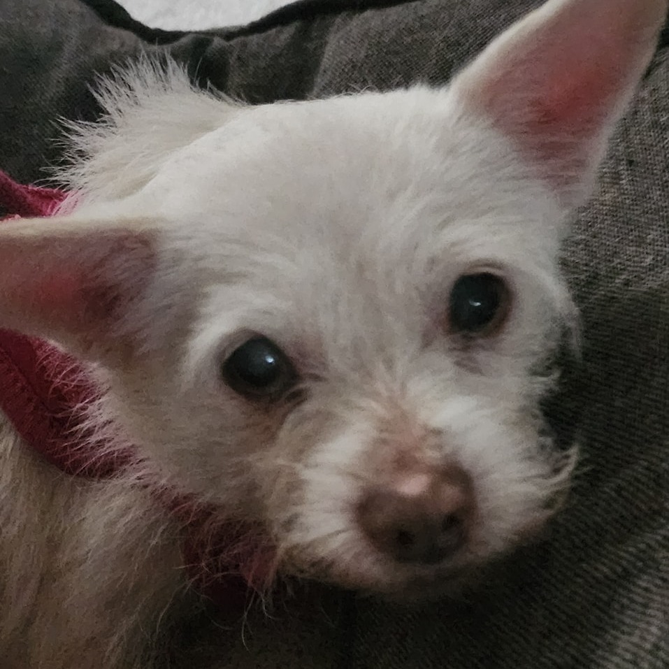Pepa