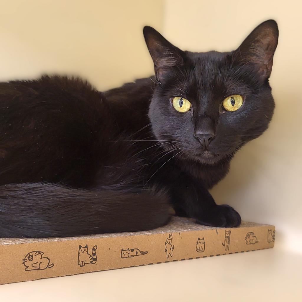 Chiquita