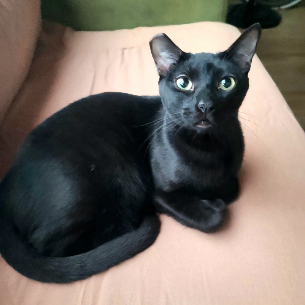 Ruffio