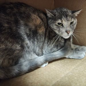 Tina