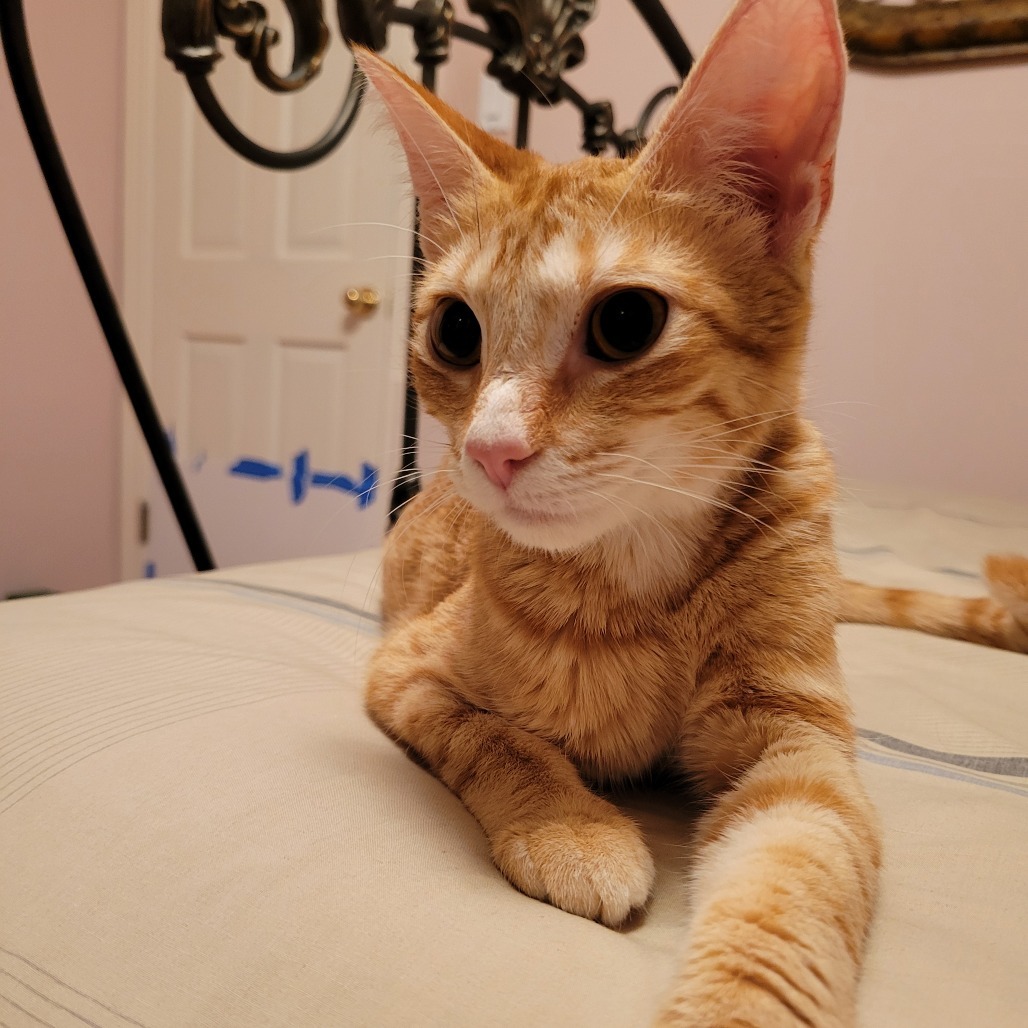 Clementine NRAR