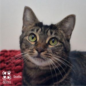 Stella Berkeley, Senior Female unknown