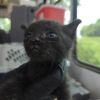 Ohio photo 3