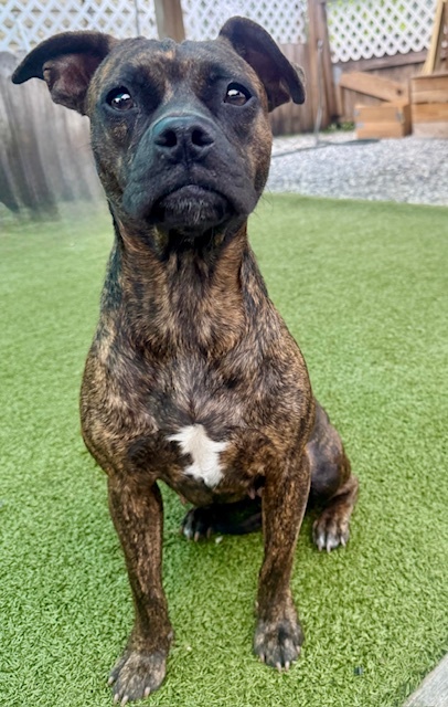 Xena
