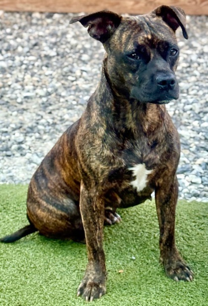 Xena