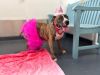 Princess Piper photo 2