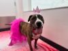 Princess Piper photo 4