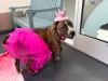 Princess Piper photo 5