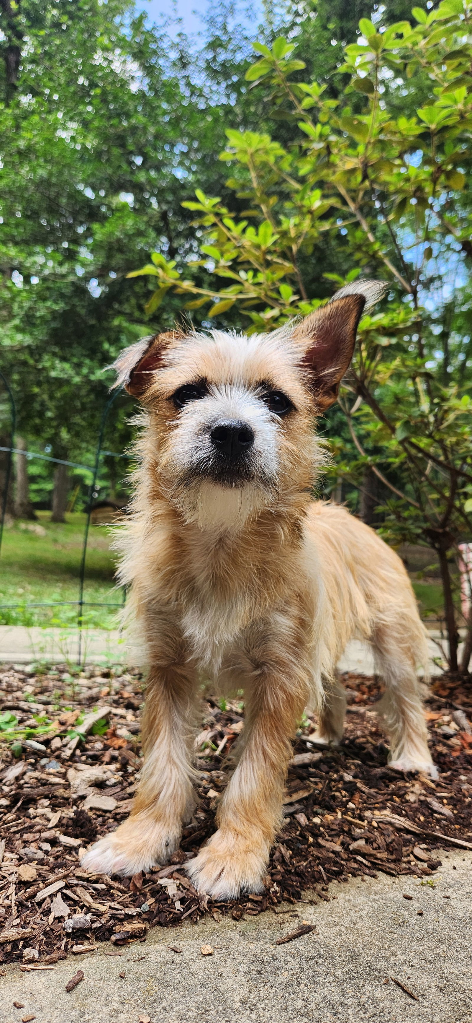 Max