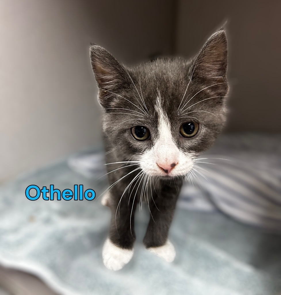 Othello