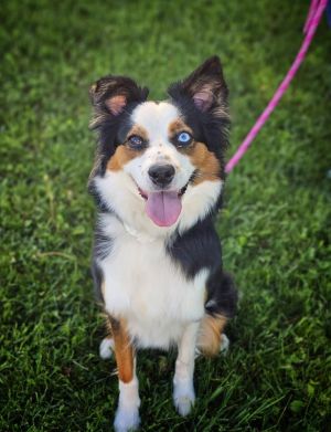 Photo of Abby