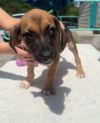 Ruckus photo 3