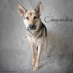 Cassandra