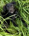SAGE photo 3
