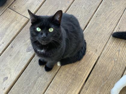 Casper