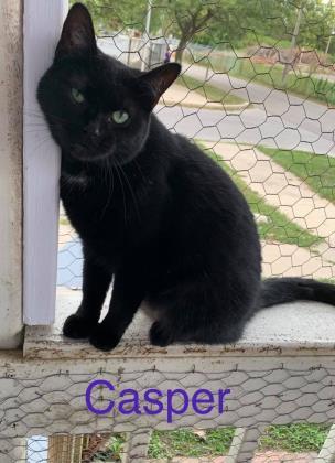 Casper