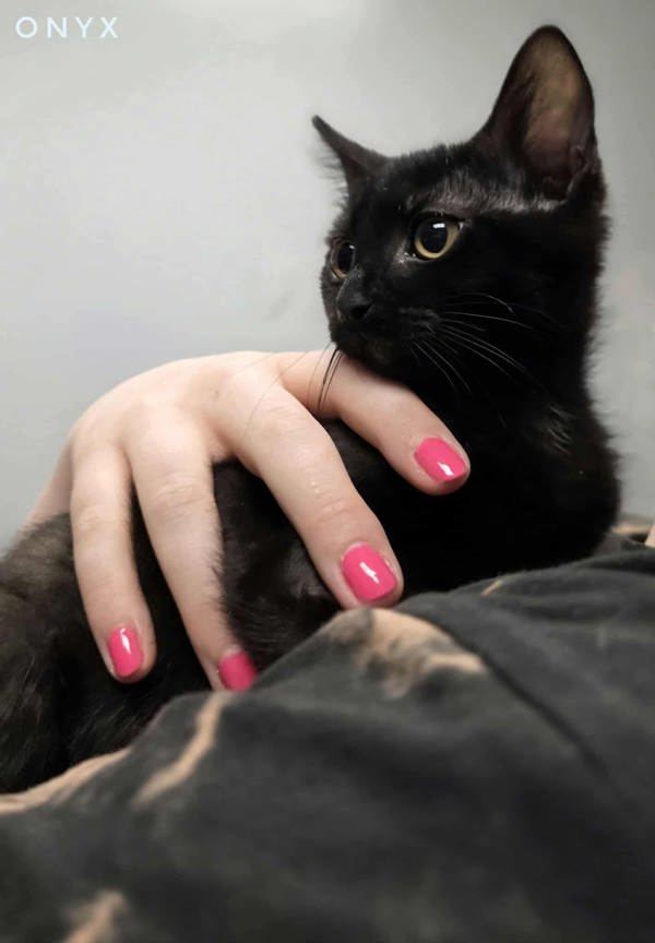 Onyx
