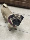 Fiona photo 1