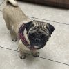 Fiona photo 2