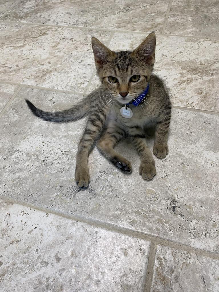 Juan